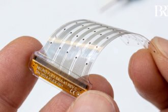 Neurosoft Bioelectronics funding