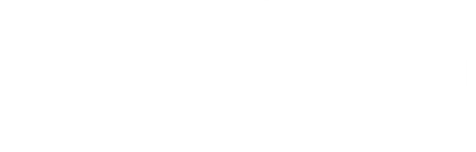 theboardroomleaders