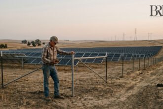 Hidden cost of going green